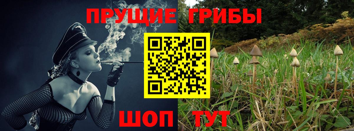 Галлюциногенные грибы мицелий Муравленко