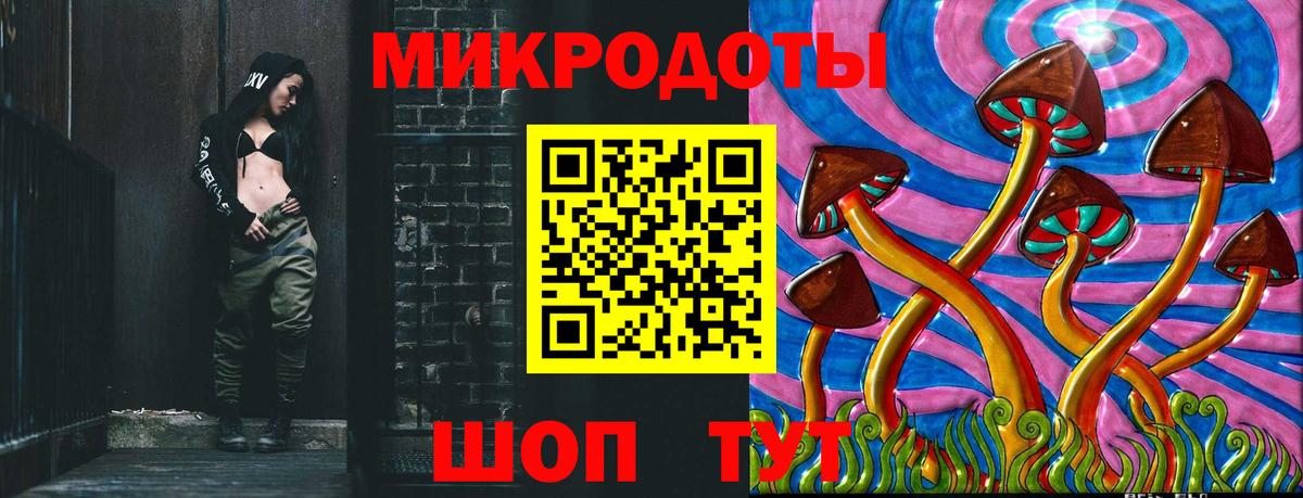 Псилоцибиновые грибы Cubensis  Вход с VPN  Псилоцибиновые грибы прущие грибы  Муравленко 